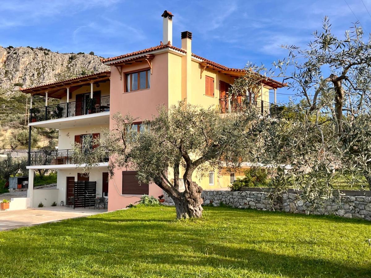 Ενtree Guest House Near Palamidi Castle Nafplion Exteriör bild
