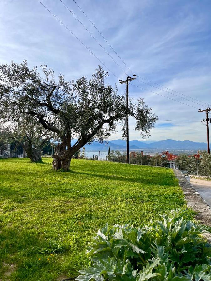 Ενtree Guest House Near Palamidi Castle Nafplion Exteriör bild